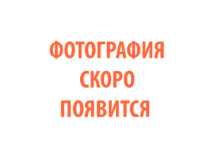 Фото 97 - Горелка TECH Super TS 20.