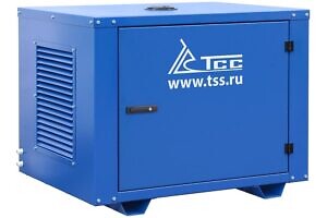 Фото 8 - Бензогенератор TSS SGG 6000EHNA в кожухе.